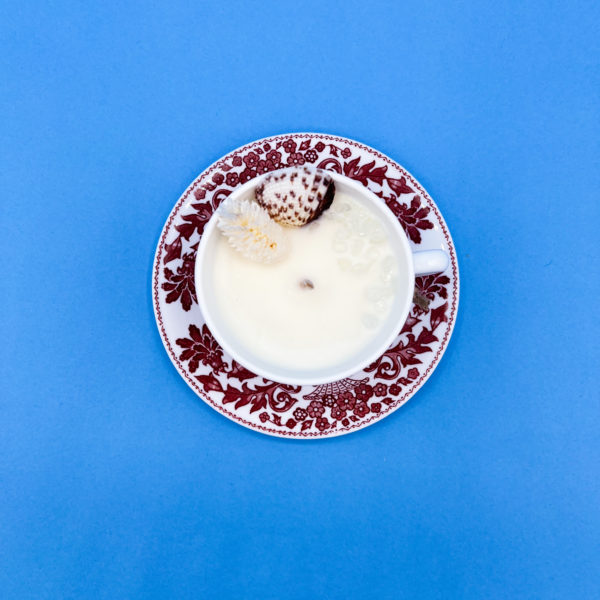 Noix de coco 60g – Image 4